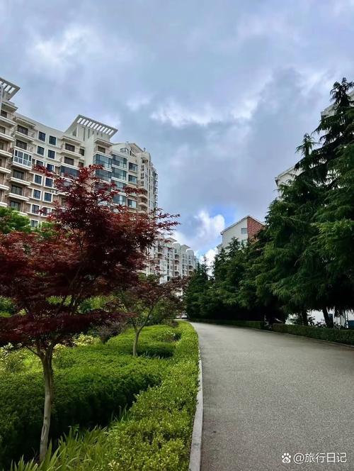 “市中心出租、近郊租房” 一场精明的居住置换